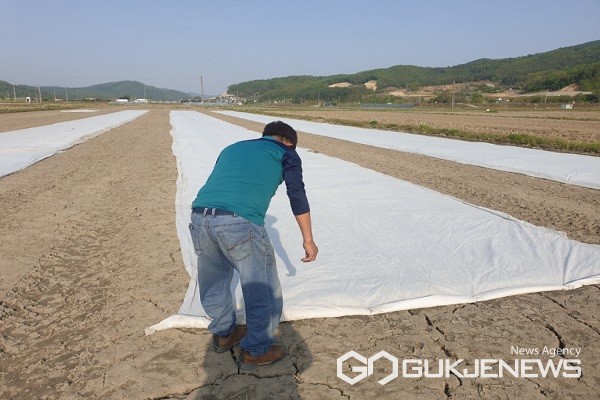 음성군, 벼 못자리 관리 중점 지도 나서