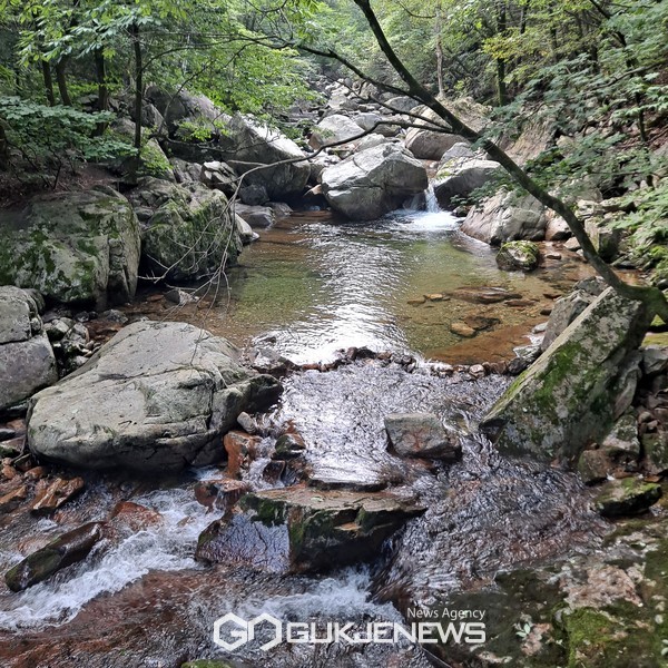 계곡따라 정상에 오를 수 있는 유명산