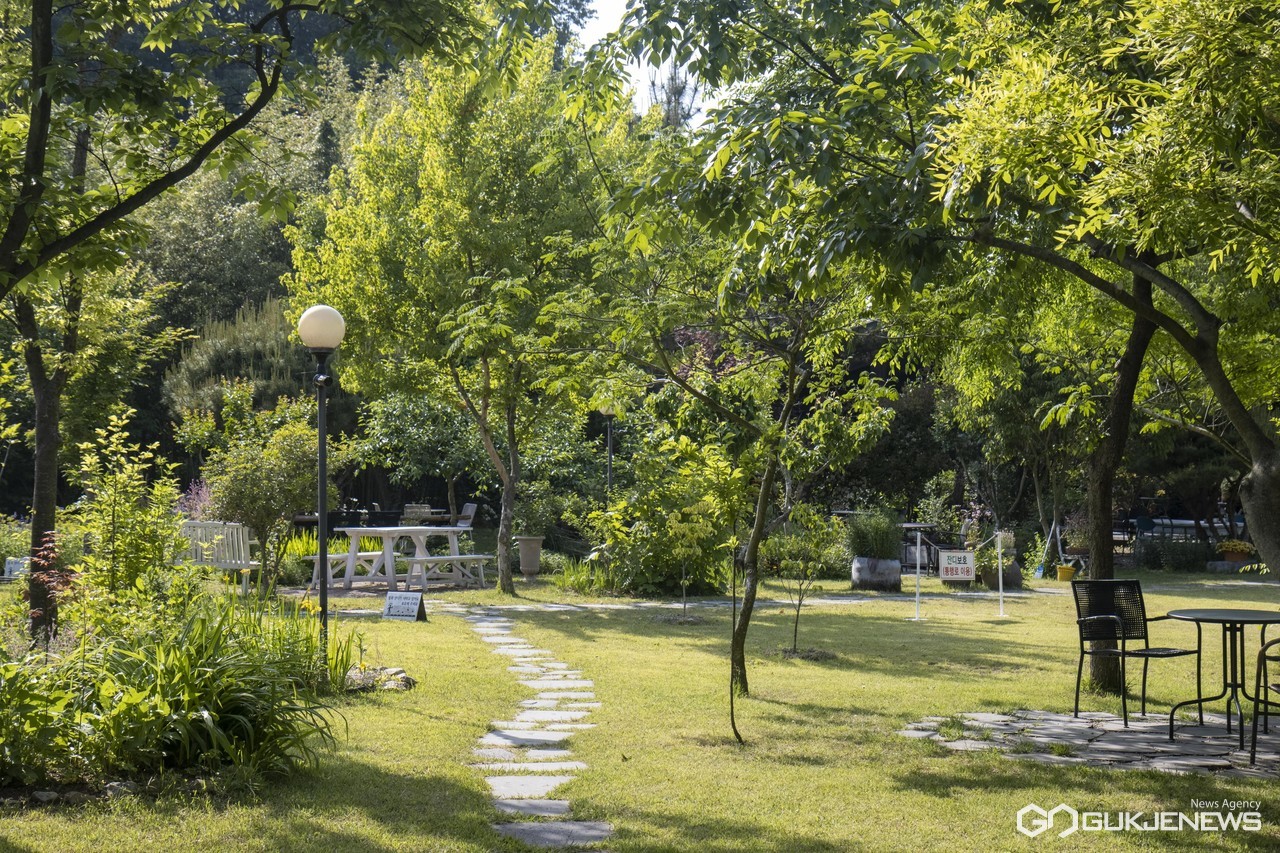 경주시, 제1호 민간정원 경주 야생화일기 지정