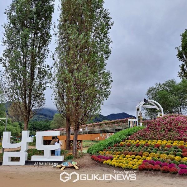 가평군, 자라섬 반려동물 문화축제