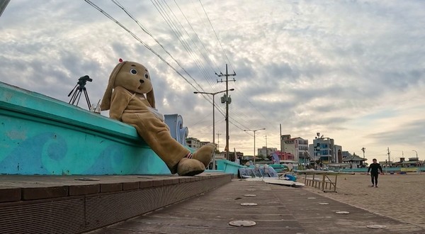 세상에 이런 일이 제주도 카페 출몰하는 넋토끼 정체는?