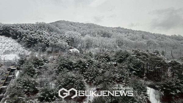 [국제포토] 눈 덮인 천안 봉서산 풍경