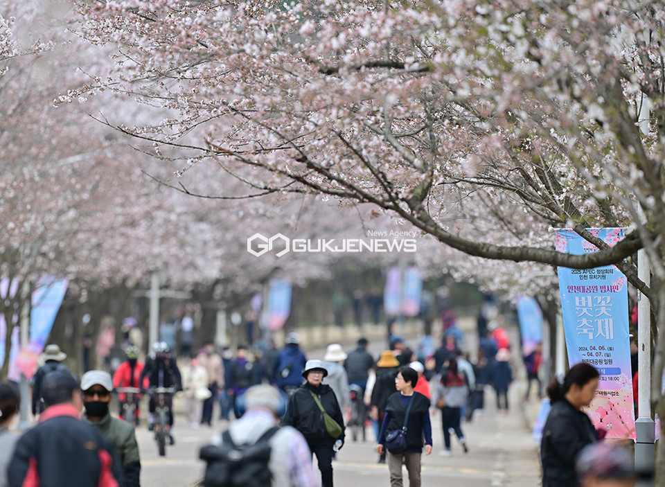 [국제포토] 봄꽃 개화, 인천대공원