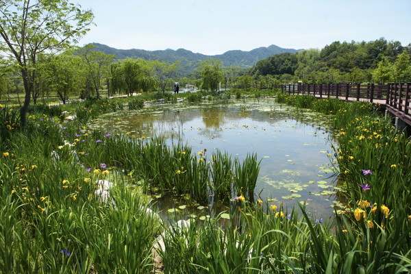 거창창포원, 거창군 산림관광 200만 시대 첫 퍼즐 완성 중