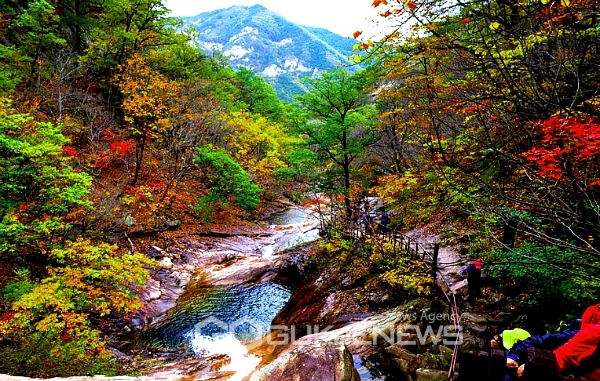 설악산서 연락끊긴 20대 두 달만에 숨진 채 발견