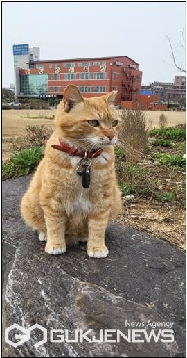 성은순 ㈜금성장례식장 회장과 길고양이 와의 소중한 인연 화제 눈길