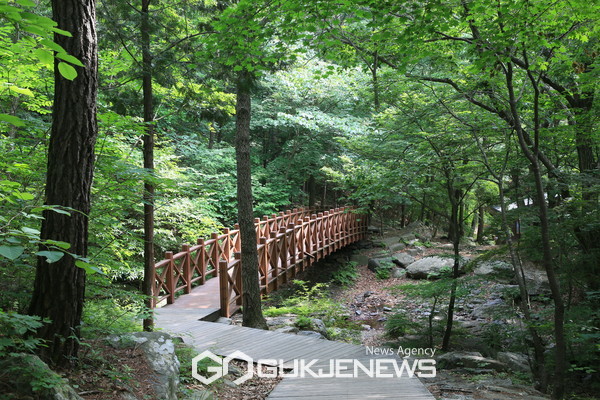 보령시, 성주산자연휴양림 여름성수기 운영 시작