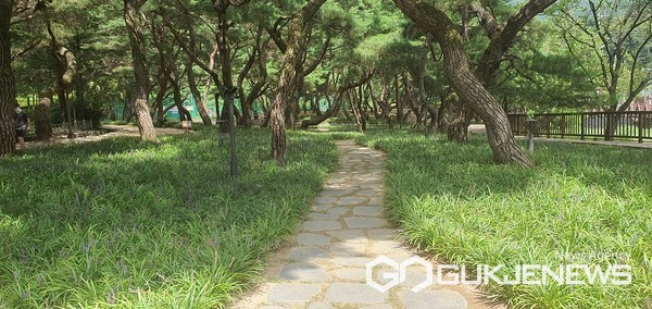제천 의림지 솔밭공원, 아름다운 비밀 정원 조성 화제