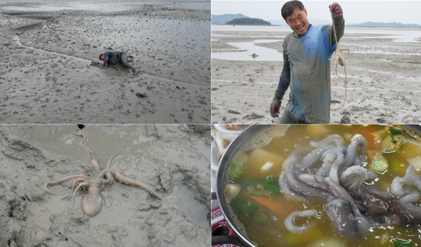 극한직업 신안 낙지탕탕이·속초 홍게 무한리필 위치 공개