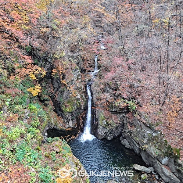 [포토] 명지산 단풍 산책길