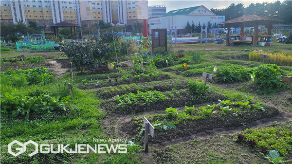 부산시, 고향사랑기부제 답례품 텃밭 분양권 선착순 분양 시작