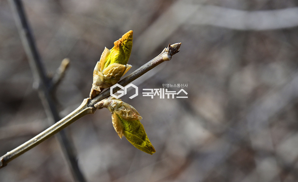 [국제포토] 우수 경칩 & 이젠 봄