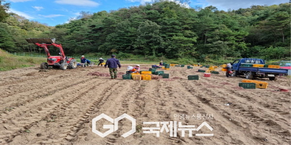 일손 걱정 없는 봉화군! 농촌 인력 수급 정책 성과 톡톡