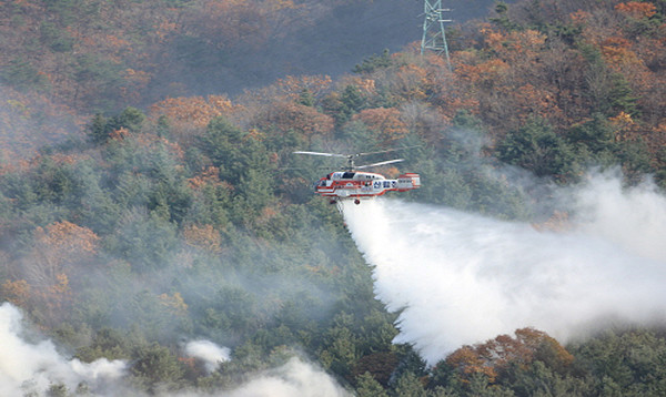 [속보] 파주 조리읍서 산불 발생...성묘·등산객 안전 주의