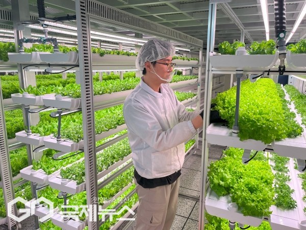 사하구 천마마을 사회적협동조합, 평생학습빌리지 지원사업 2년 연속 선정