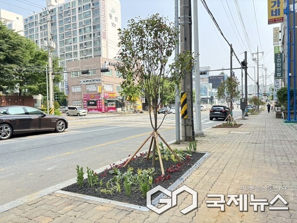 군산시, 백토로 일대 사계절 가로정원 조성