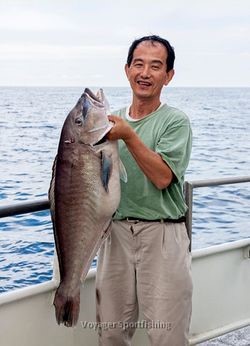 세계 최대 블루라인 옥돔 기록 깨나