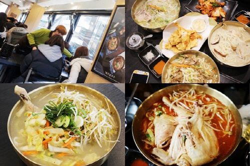 신사동 가로수길 맛집에서 찾은 이색 ‘닭 반 마리 칼국수’ 