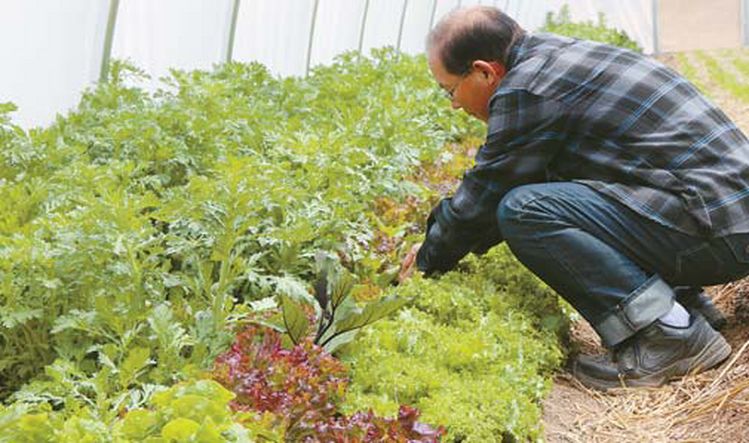 채소 키우고 양봉하며 전원생활 즐겨…필랜 자연농원 박민재 목사 