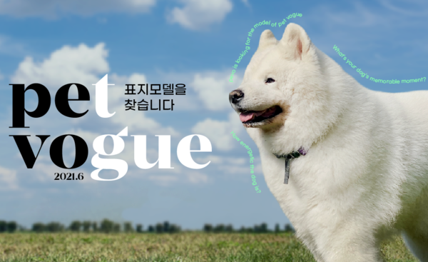반려동물 헬스케어 서비스 페보, 강아지 모델 선발대회 개최