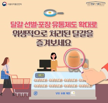 내년부터 업소용 달걀도 선별포장제도 의무화
