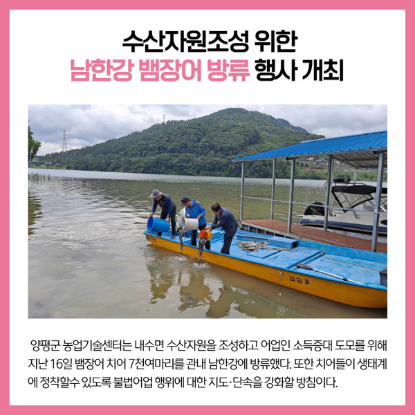 [카드뉴스] 경기 양평군 주요뉴스 (6월 17일)