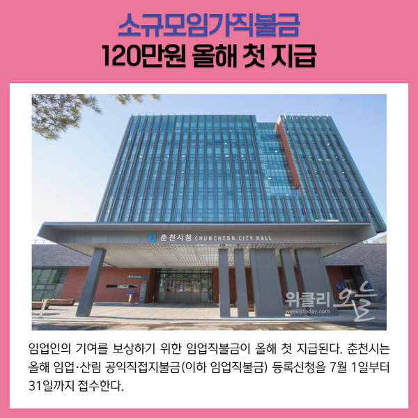 [카드뉴스] 강원 춘천시 주요뉴스 (6월 24일)