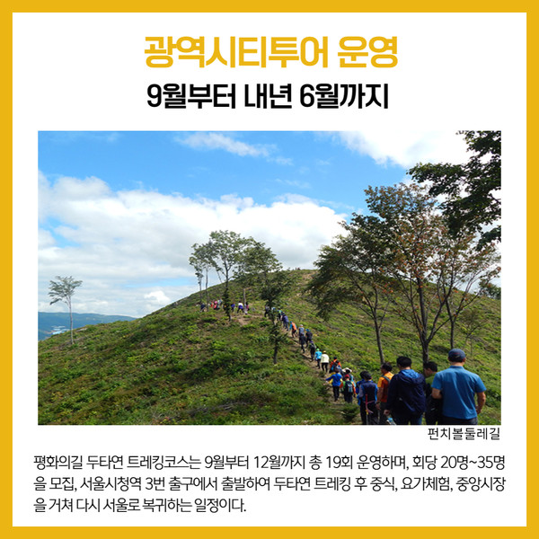[카드뉴스] 강원 양구군 주요뉴스 (9월 14일)