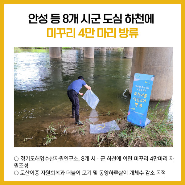 [카드뉴스] 경기도 주요뉴스 (9월 16일)