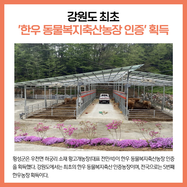 [카드뉴스] 강원 횡성군 주요뉴스 (10월 6일)