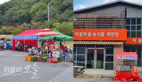 영천시, 이장 선거로 말썽빚은 청통면 치일1리...이번엔 불법 포장마차
