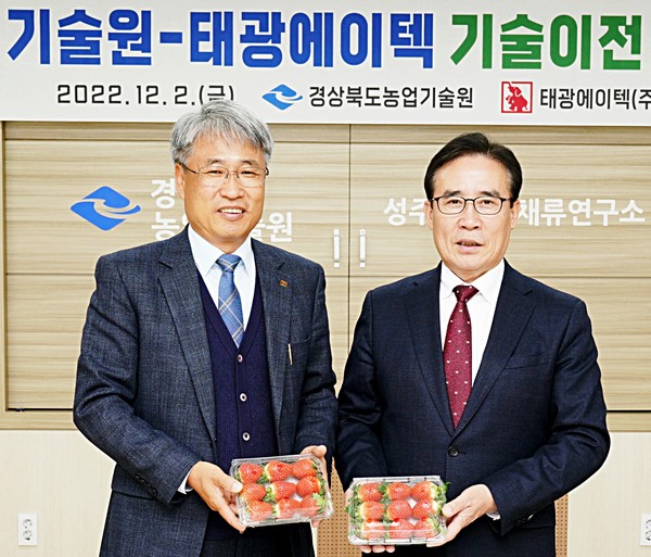 경북농업기술센터, 생산 3배 높이는 딸기 수직재배시스템 특허...태광에이텍에 기술 이전