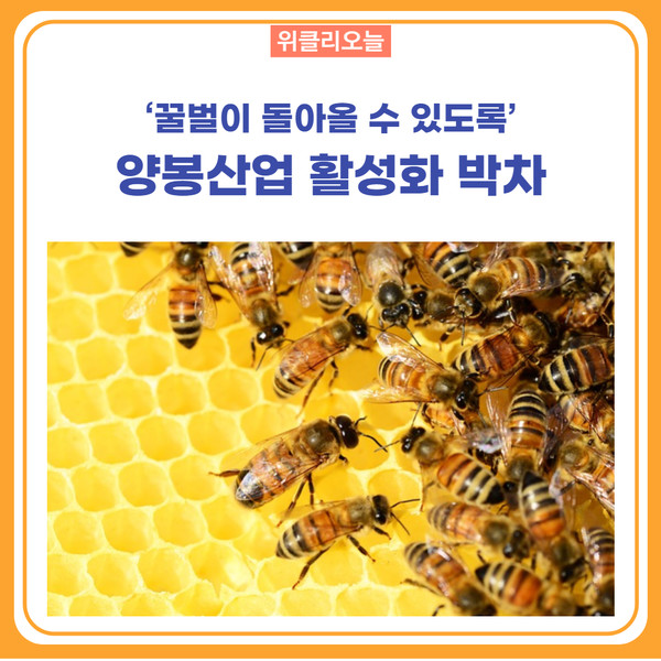 영월군, 양봉산업 활성화 박차
