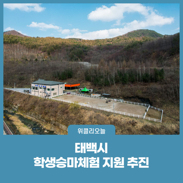 태백시, 학생승마체험 지원 추진