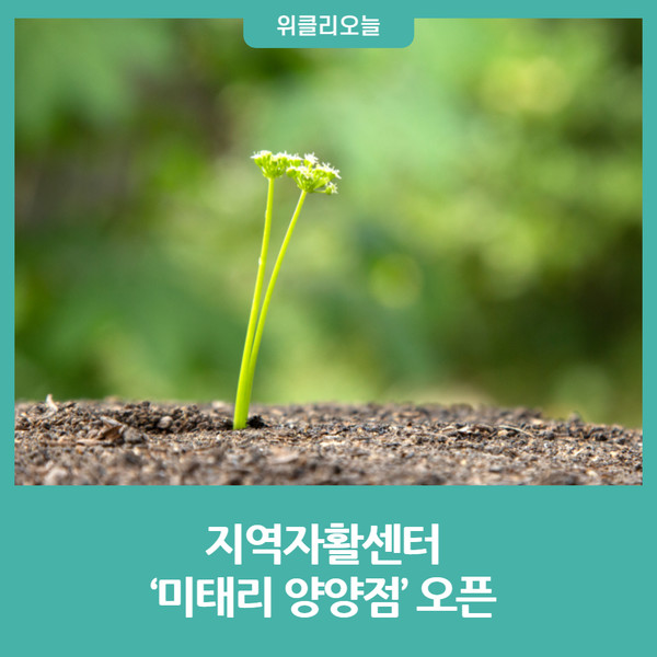 양양군 지역자활센터, 미태리 양양점 오픈