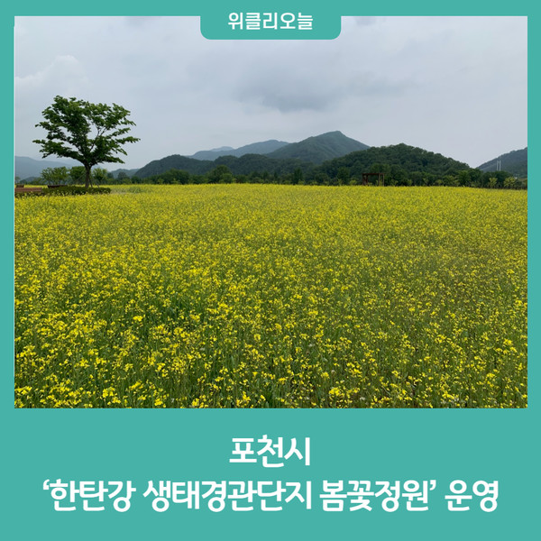 포천시, 2023 한탄강 생태경관단지 봄꽃정원 운영