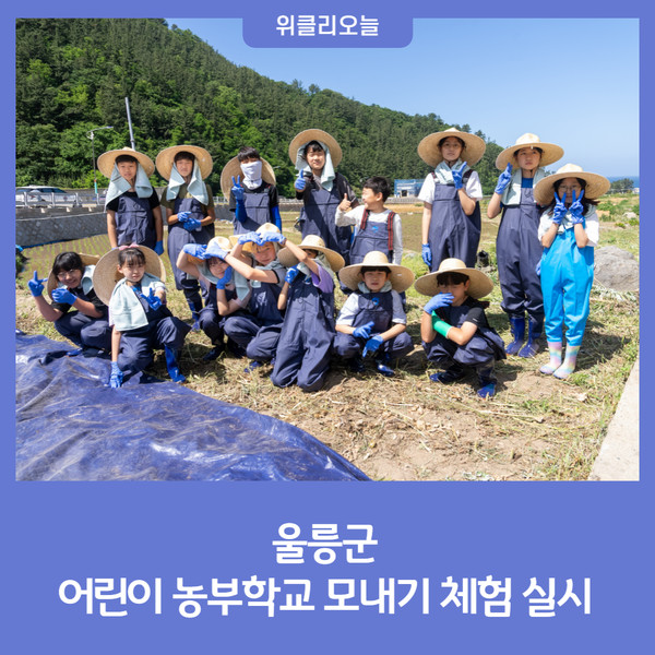울릉군, 어린이 농부학교 모내기 체험 실시