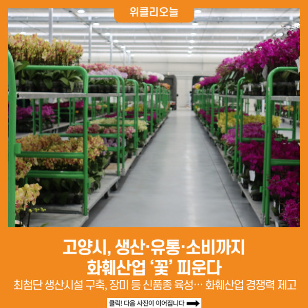 [위클리오늘] 고양시, 생산·유통·소비까지… 화훼산업 꽃 피운다