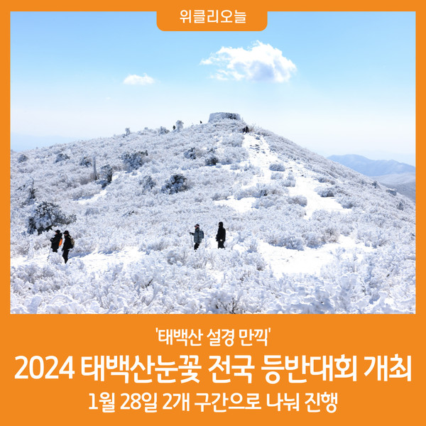 [위클리오늘] 2024 태백산눈꽃 전국 등반대회 개최
