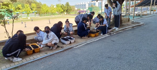 [위클리오늘] 동해시, 삼육중 텃밭 시범 사업 지원 호응