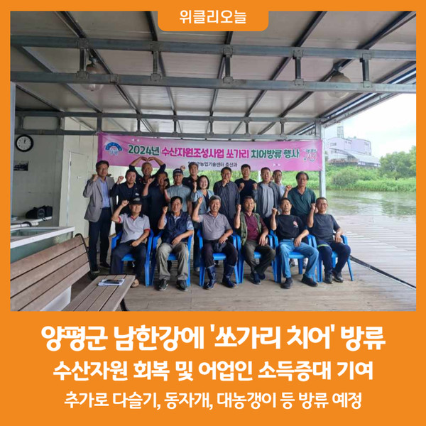 [위클리오늘] 양평군, 남한강에 쏘가리 치어 방류...수산자원 조성