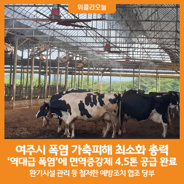 [위클리오늘] 여주시, 폭염 대비 가축피해 최소화 총력