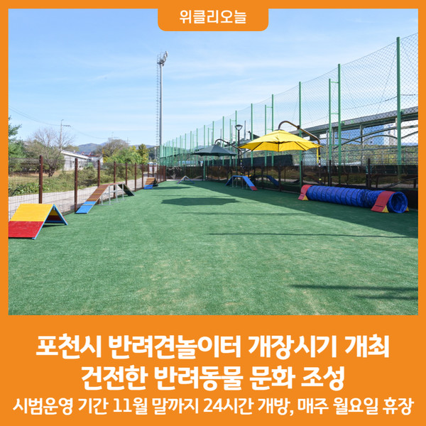 포천시반려견놀이터 반려동물 동반 애견카페