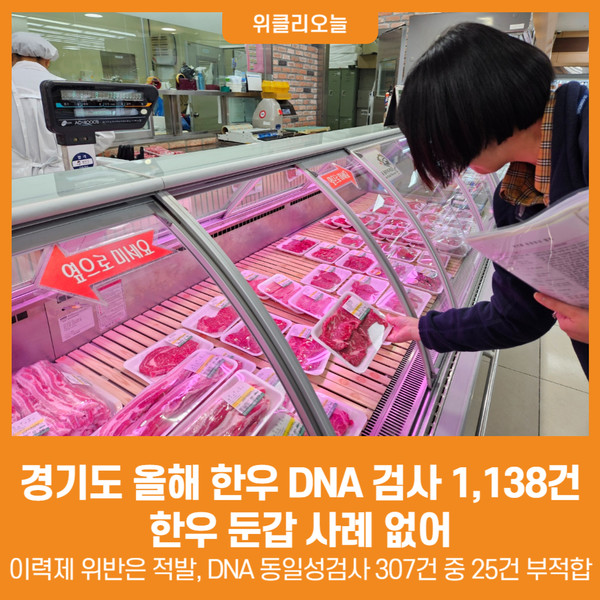 [위클리오늘] 경기도, 올해 한우 DNA 검사 1,138건...한우 둔갑 사례 없어