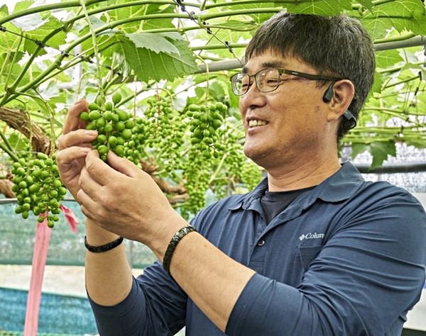 [위클리오늘] 영천시 금호읍 신길호 경북 농업 명장...농진청 현장명예연구관 위촉