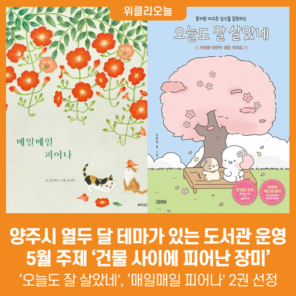 [위클리오늘] 양주시, 열두 달 테마가 있는 도서관 운영ⵈ 5월 주제 건물 사이에 피어난 장미