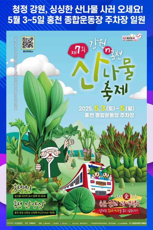 [위클리오늘] 청정 강원, 싱싱한 산나물 사러 오세요!