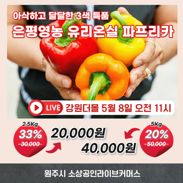 [위클리오늘] 원주시, 가정의 달 맞이 소상공인 라이브커머스 지원