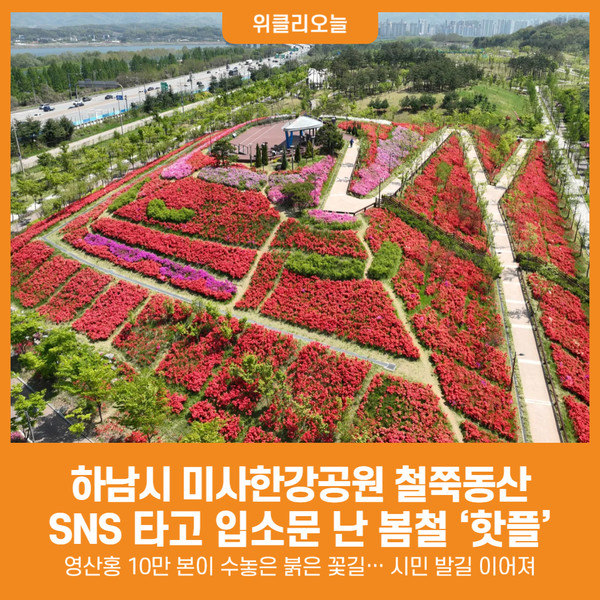 [위클리오늘] 하남시 미사한강공원 철쭉동산, SNS 타고 입소문 난 봄철 핫플