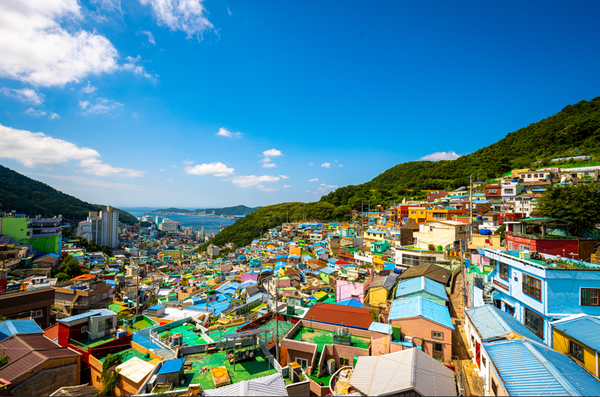 [위클리오늘] 사하구 감천문화마을, 골목마다 예술이 흐른다… 한국관광 100선 6연속 쾌거